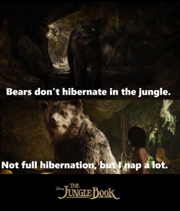 Bagheera: Bears don&#039;t hibernate in the jungle.
Baloo: Not full hibernation, but I nap a lot. #quote