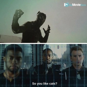 So you like cats? #quote #blackpanther