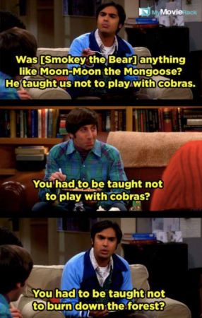 Raj: Was he anything like Moon-Moon the Mongoose? He taught us not to play with cobras.
Howard: You