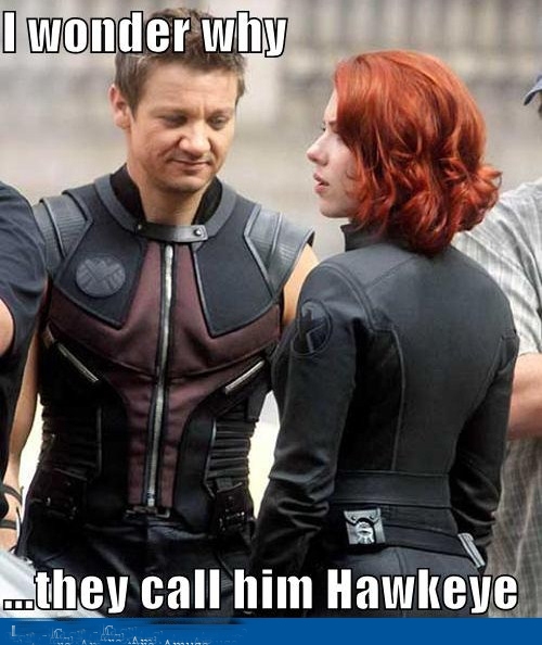 ha ha hawk eye