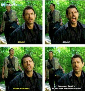 Nick: Sarah!
Ian: Sarah!
Nick: Sarah Harding!
Ian: How many Sarah's you think are on this island?