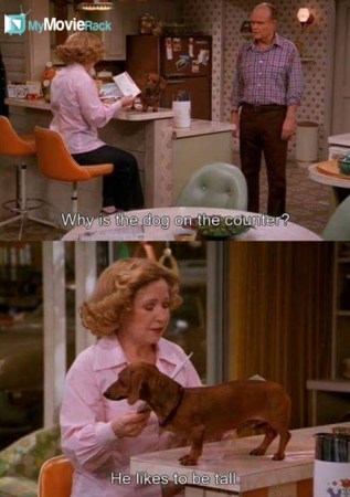 Red: Why&#039;s the dog on the counter? 
Kitty: He likes to be tall. #quote