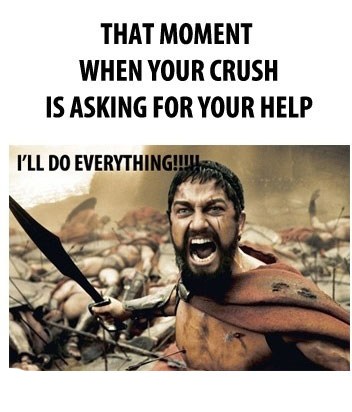 Troll like a boss