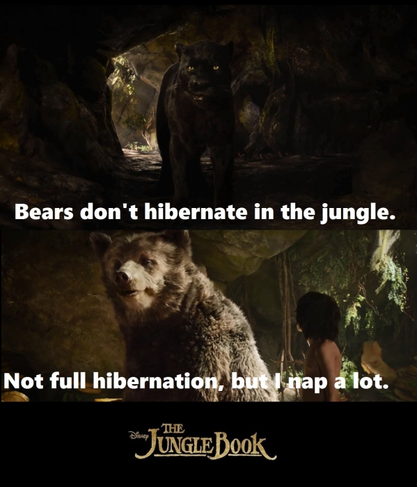 Bagheera: Bears don't hibernate in the jungle.
Baloo: Not full hibernation, but I nap a lot. #quote