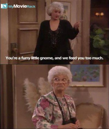 You're a furry little gnome, and we feed you too much. #quote