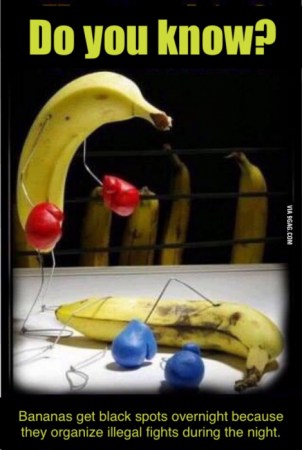 Fruit Club.