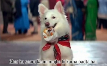 Poor Tuffy!