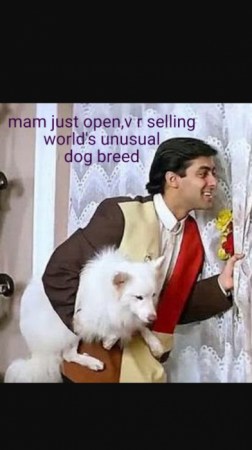 Salesmen be like