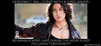 killer shroff