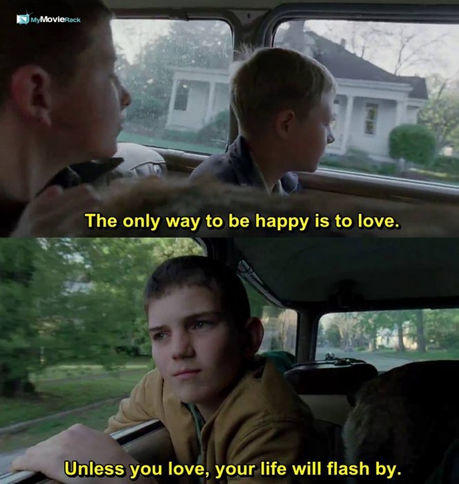 The only way to be happy is to love. Unless you love, your life will flash by. #quote
